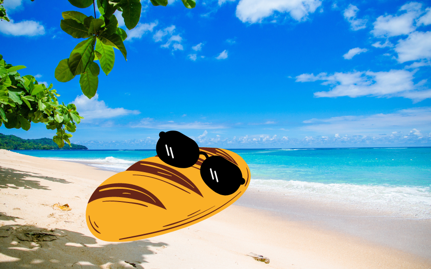 What to do with your Sourdough Starter whilst on holiday?