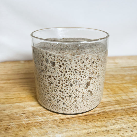 The Rye Sourdough Starter