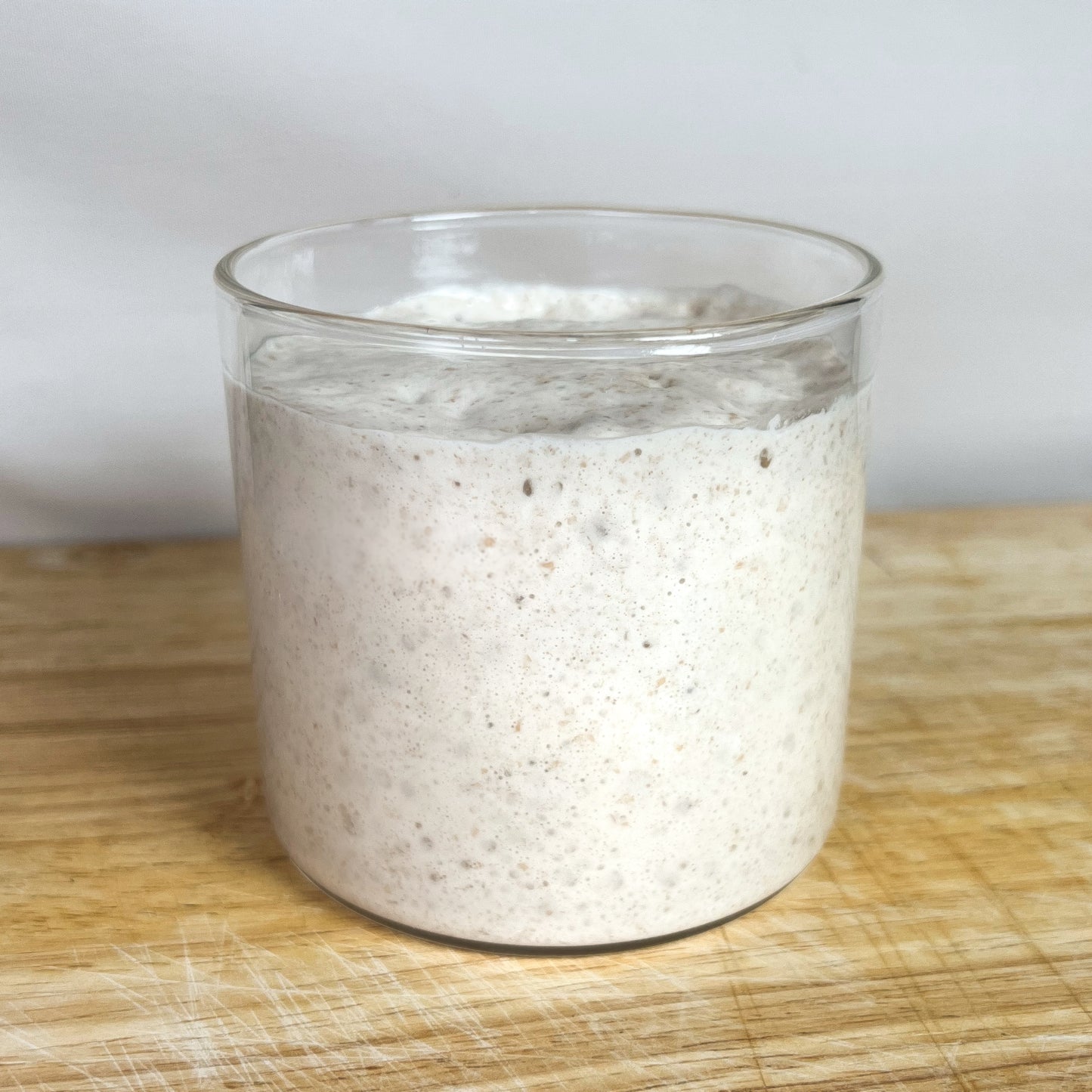 The Gluten Free Sourdough Starter